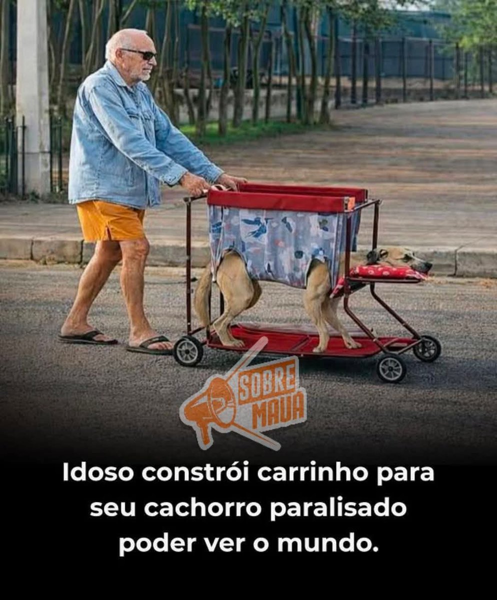 👉Jaugustos Fazuelly RJ 🚩 tweet media