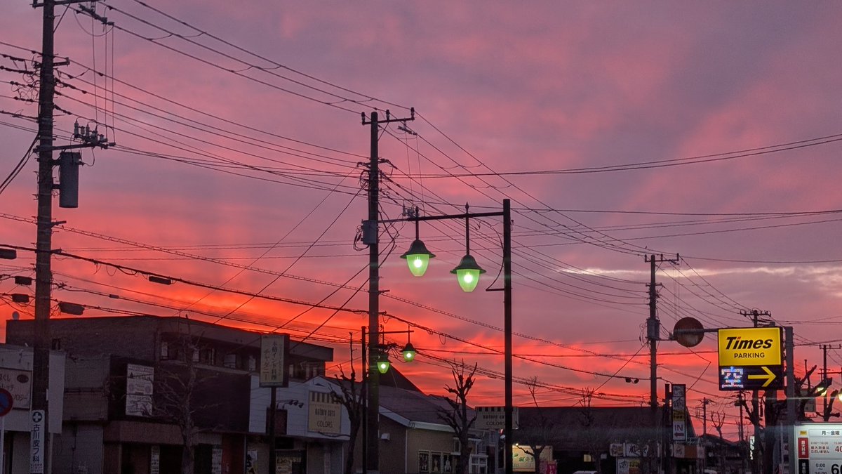 飯テロ部長タッチャンLOVE&Justice tweet media