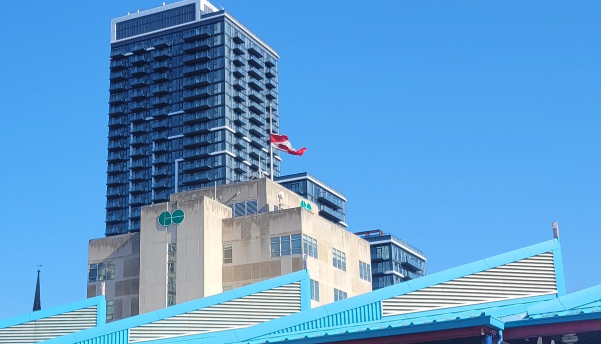 Shaun Bloom tweet media