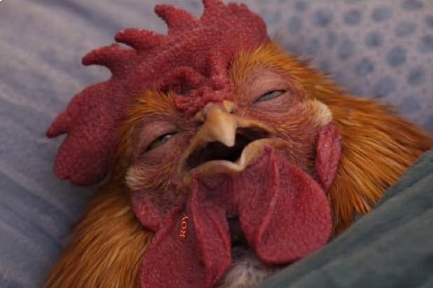 Everything is not all about Depression have you tried Good s£x ? Have you