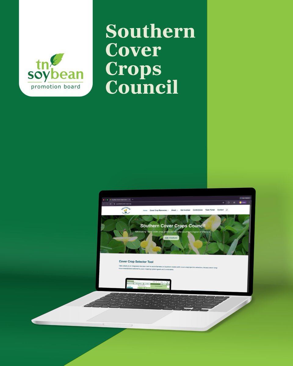 Tennessee Soybean tweet media