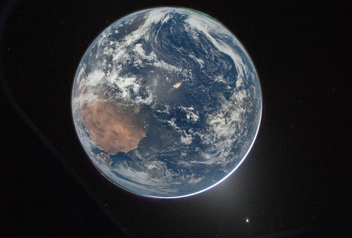 PostDataec tweet media