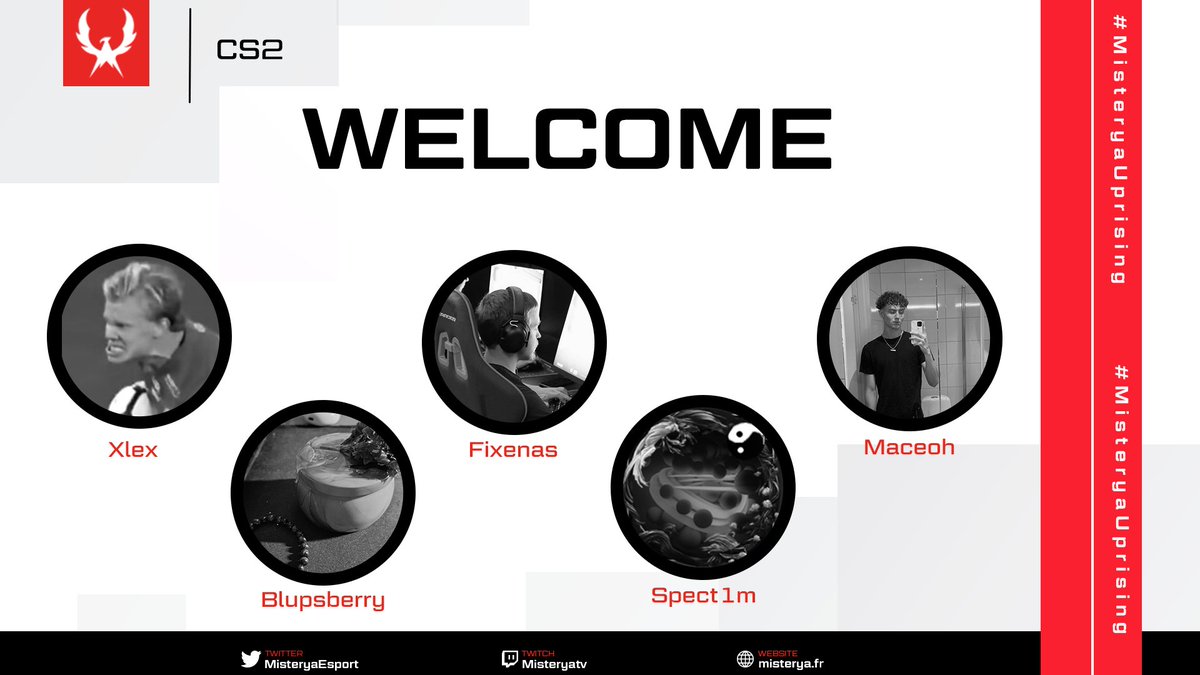 MISTERYA tweet media