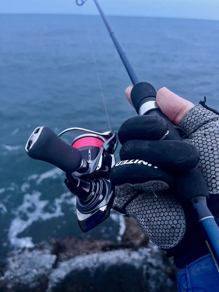 ꧁ AL_madengi ꧂ tweet media