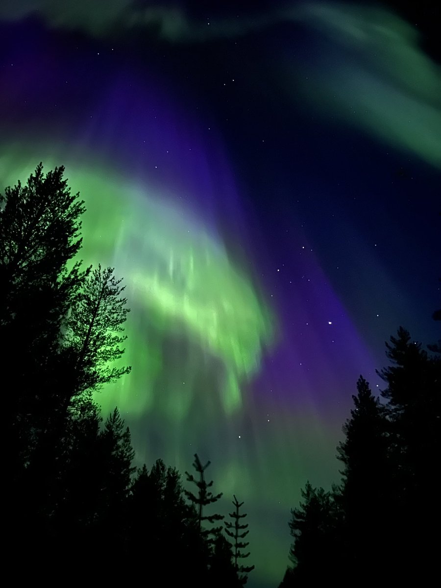 Sanna Jääskeläinen tweet media