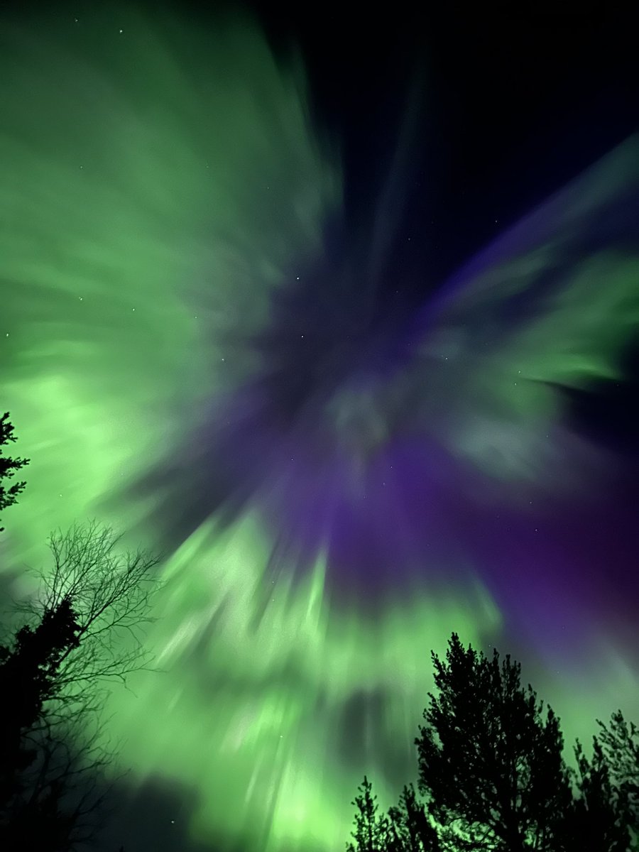 Sanna Jääskeläinen tweet media