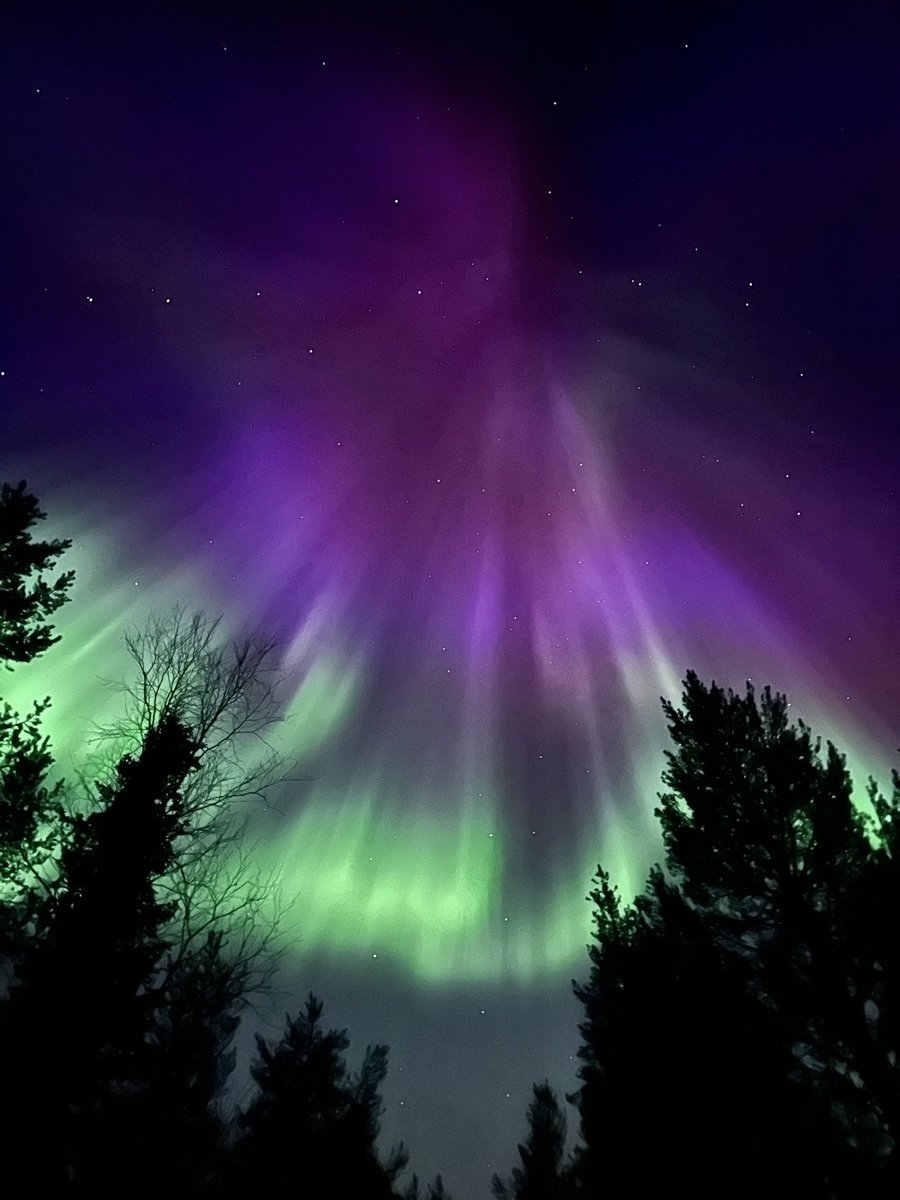 Sanna Jääskeläinen tweet media