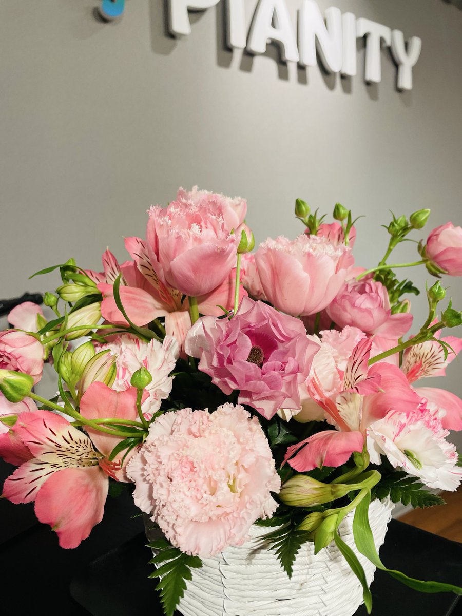 豊岡まり tweet media