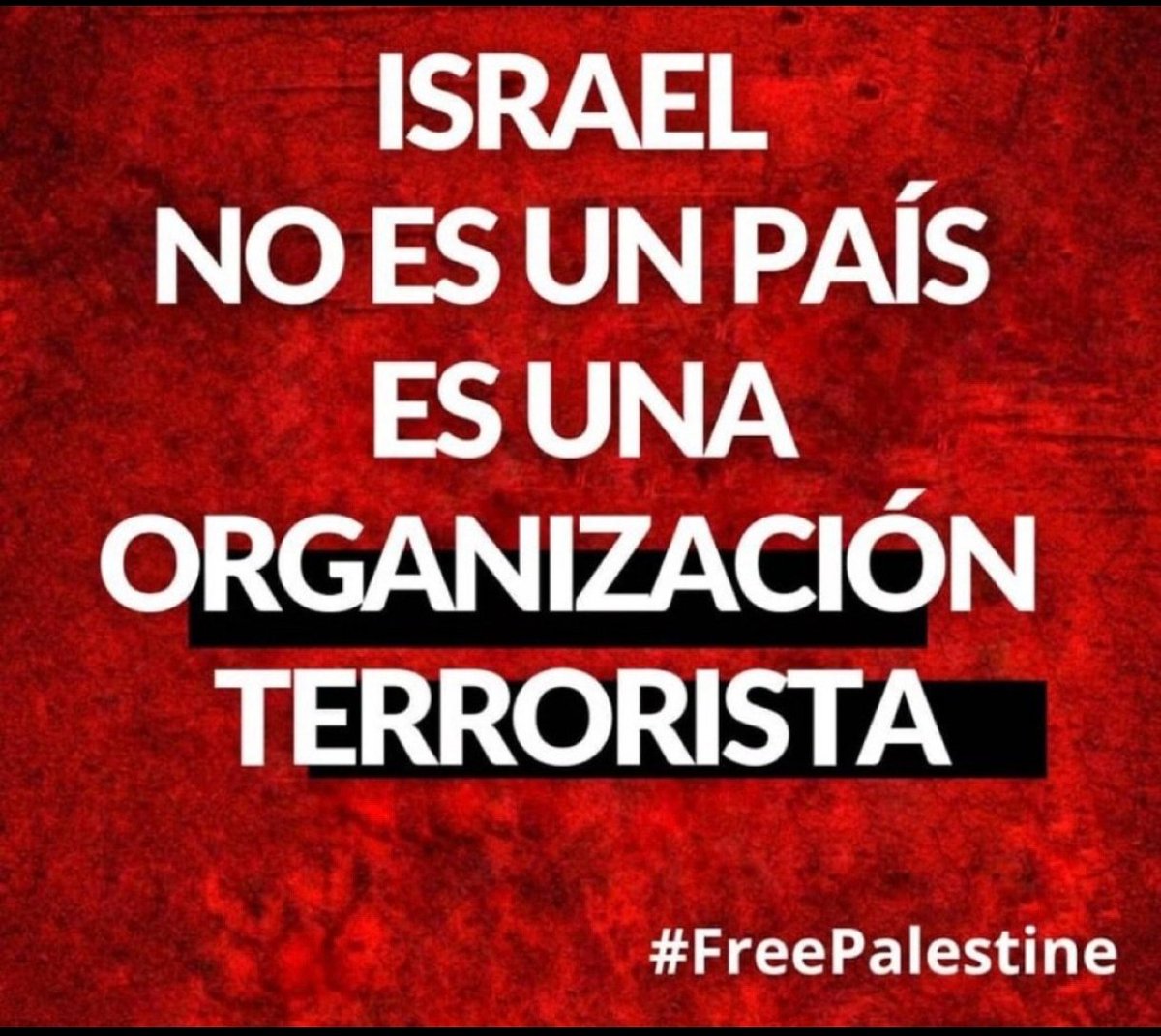 Memo G 🇯🇴 tweet media