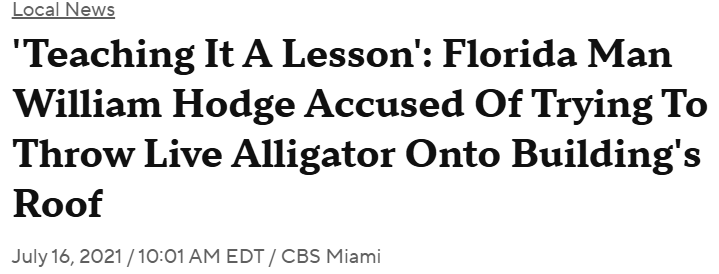 Alsace 🇺🇸🇬🇧 tweet media