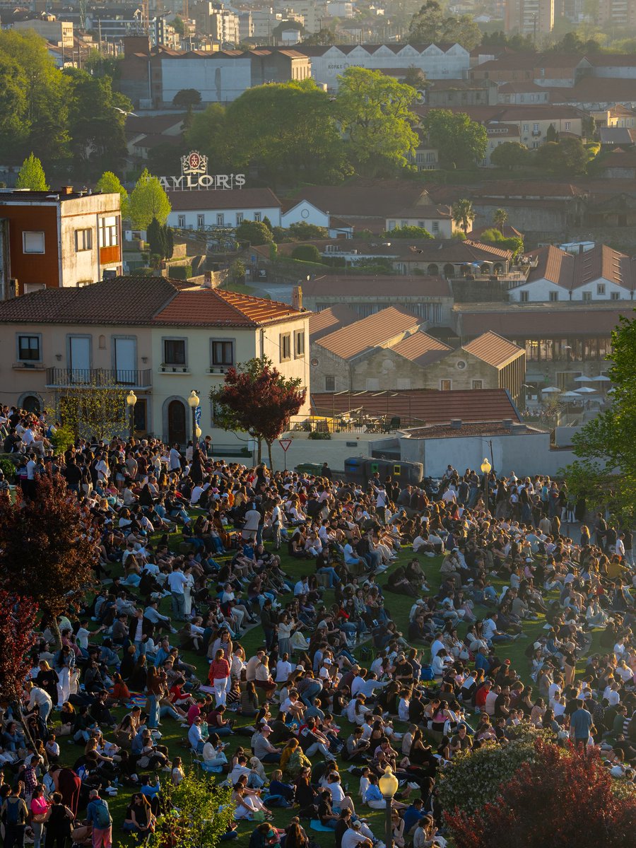 Mateusz Święcicki tweet media