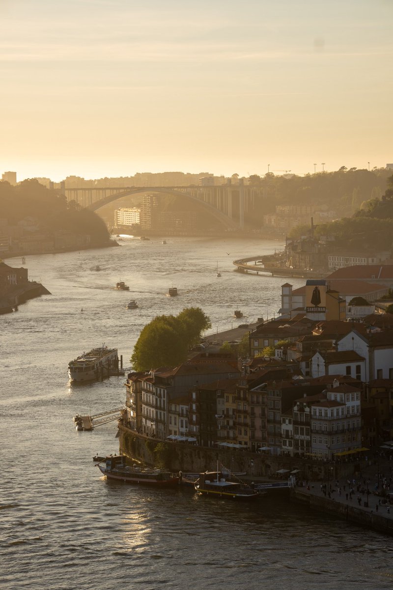 Mateusz Święcicki tweet media