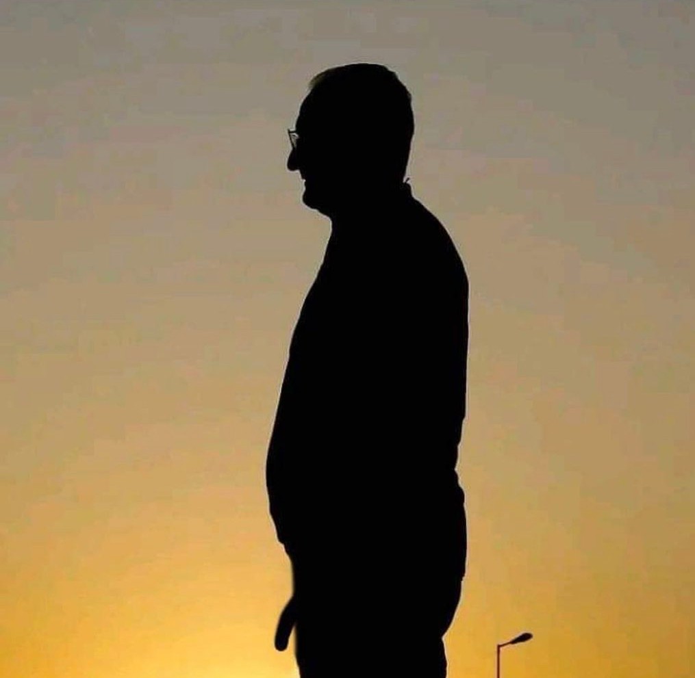 Minha pomba tweet media