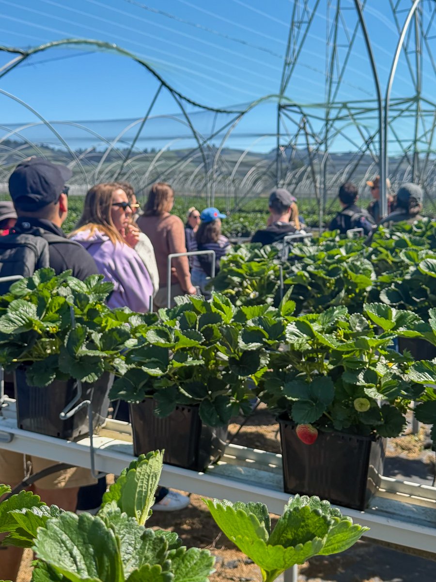 Leadership Santa Cruz County tweet media