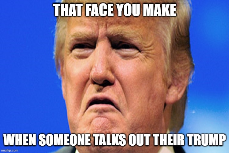 trump loves morons for a reason. tweet media