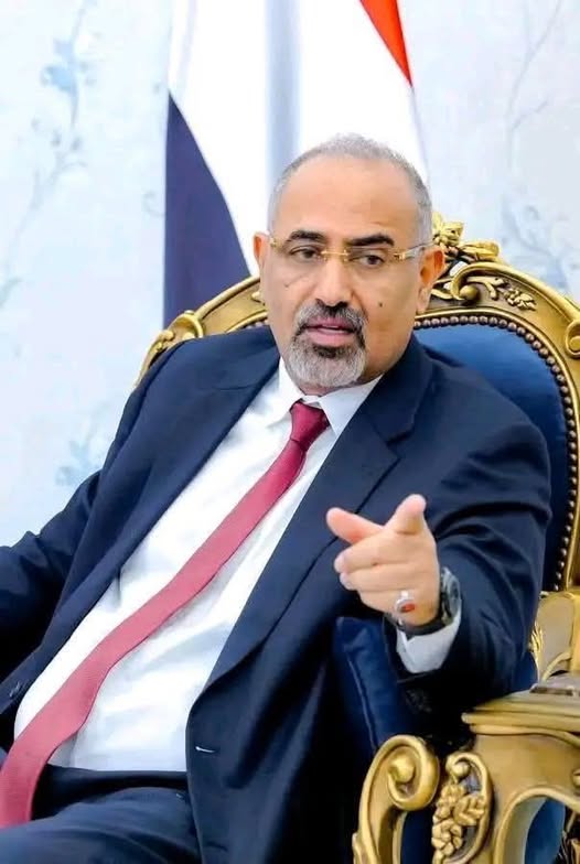 مها البحيري tweet media