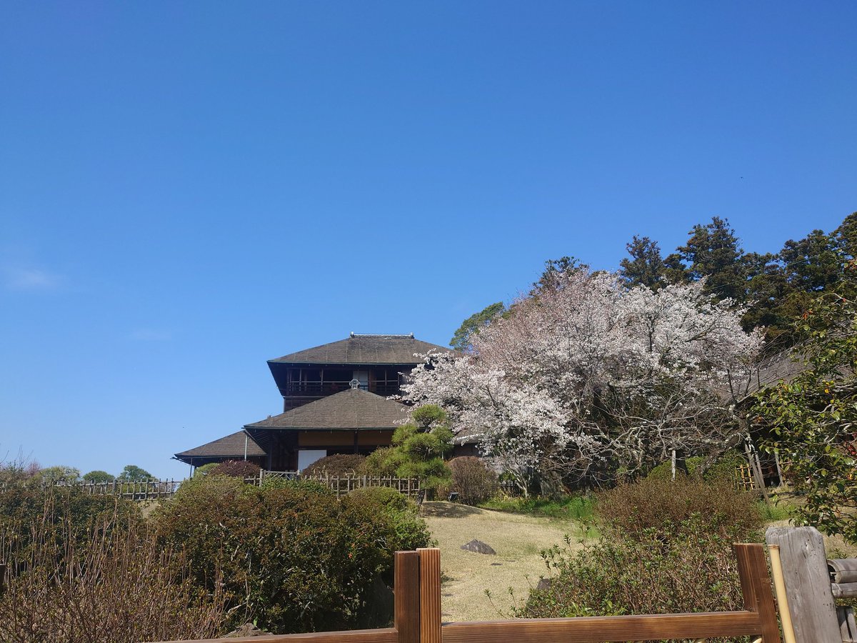 hatabo_22536's tweet photo. 『偕楽園』🌸

日本三名園のひとつ(兼六園、後楽園)
梅の名所として有名(100種、3000本)

1842年(天保13)、水戸藩九代藩主徳川斉昭により造園

領内の民と偕(とも)に楽しむ場として

※一張一弛(孔子)
厳しいだけでなく、時には緩め、楽しませることも大切

文武修業の場→弓道館
心身休める場→偕楽園 https://t.co/lgVNveFwFD