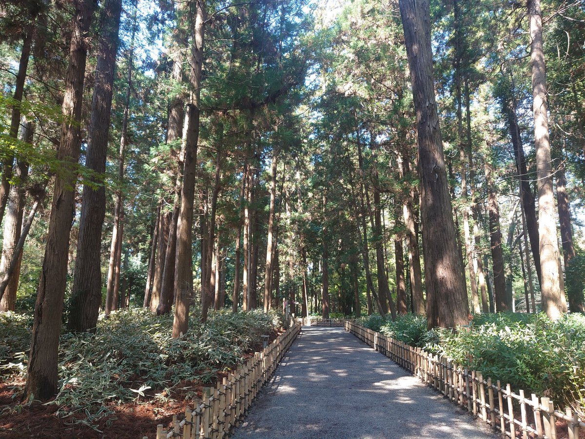 hatabo_22536's tweet photo. 『偕楽園』🌸

日本三名園のひとつ(兼六園、後楽園)
梅の名所として有名(100種、3000本)

1842年(天保13)、水戸藩九代藩主徳川斉昭により造園

領内の民と偕(とも)に楽しむ場として

※一張一弛(孔子)
厳しいだけでなく、時には緩め、楽しませることも大切

文武修業の場→弓道館
心身休める場→偕楽園 https://t.co/lgVNveFwFD