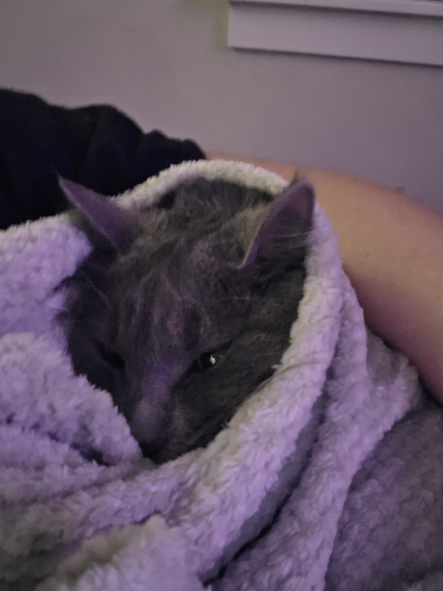 𝕷𝖊𝖓𝖔𝖗𝖊 ˖𐀔⚗️ tweet media