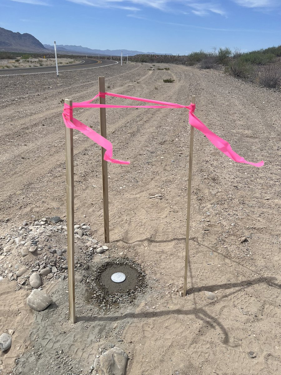 Laiken Jordahl tweet media