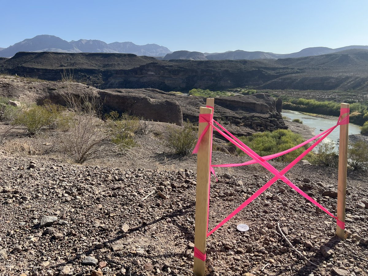 Laiken Jordahl tweet media