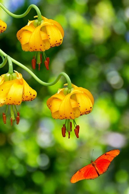 Amy Evans tweet media