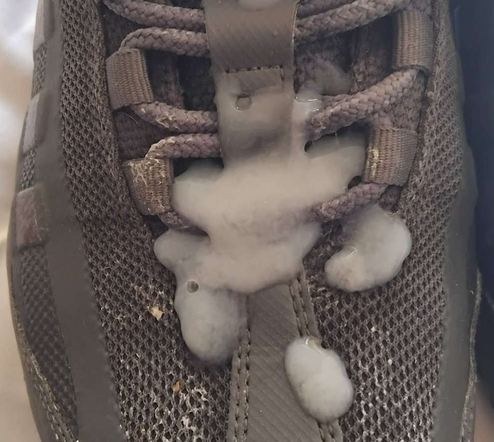 Felix1973FFM (@felix1973ffm) on Twitter photo 