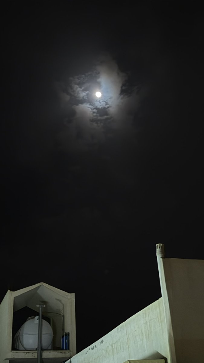 فرا☌ tweet media