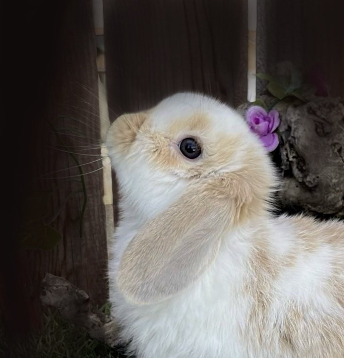 Roxy ✰ (@roxamelle) on Twitter photo 