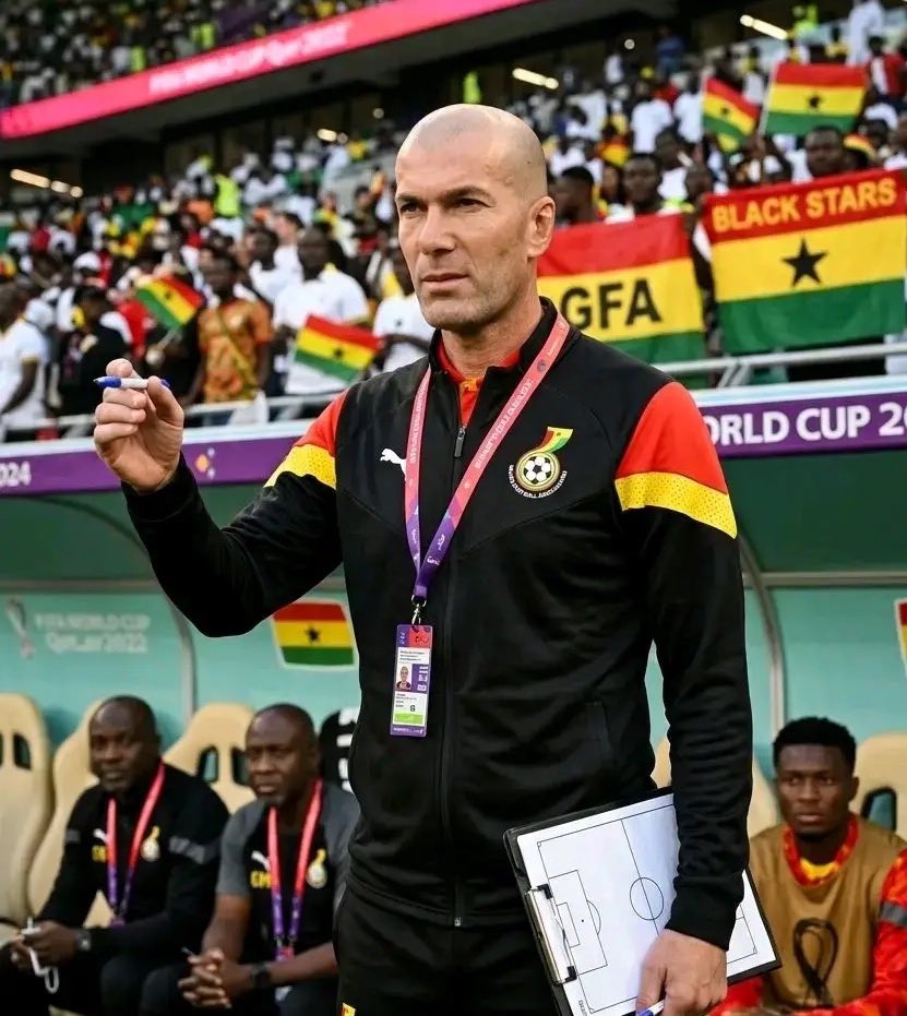 Berneese tweet media