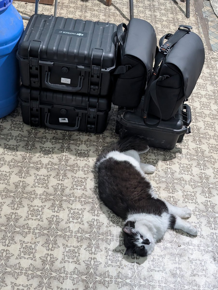 🇺🇦Сич🇺🇦 tweet media