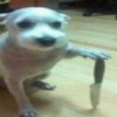 ༘˚Cαtᴮˡᵘᵉ ⚡︎ 🕸 tweet media