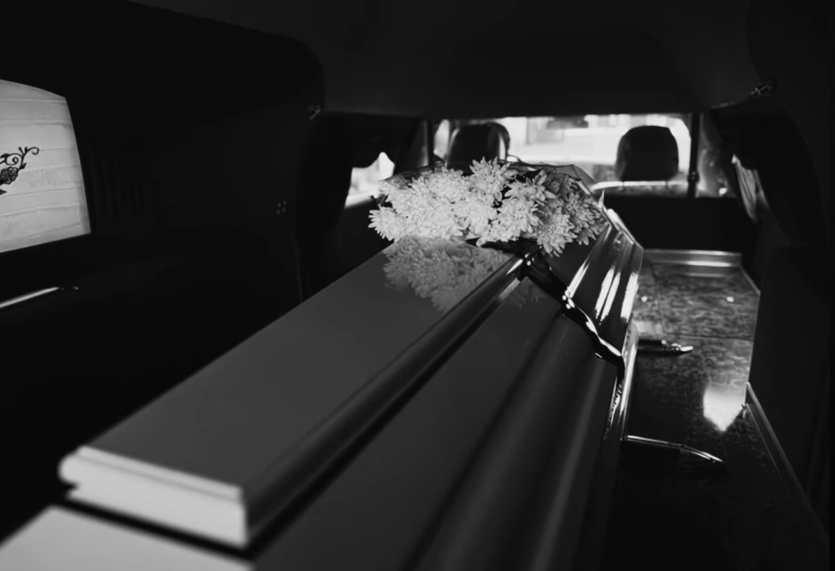 choupetta 🪽 tweet media