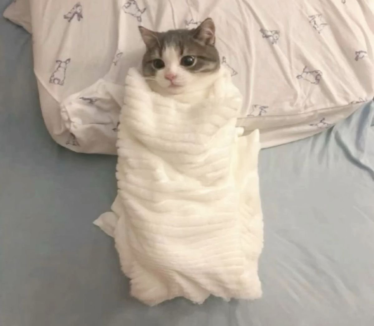 🧘🏼‍♀️ tweet media