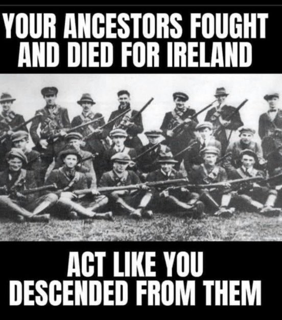 killer_noodle's tweet photo. @TheLiberal_ie https://t.co/SYW22ckWCe