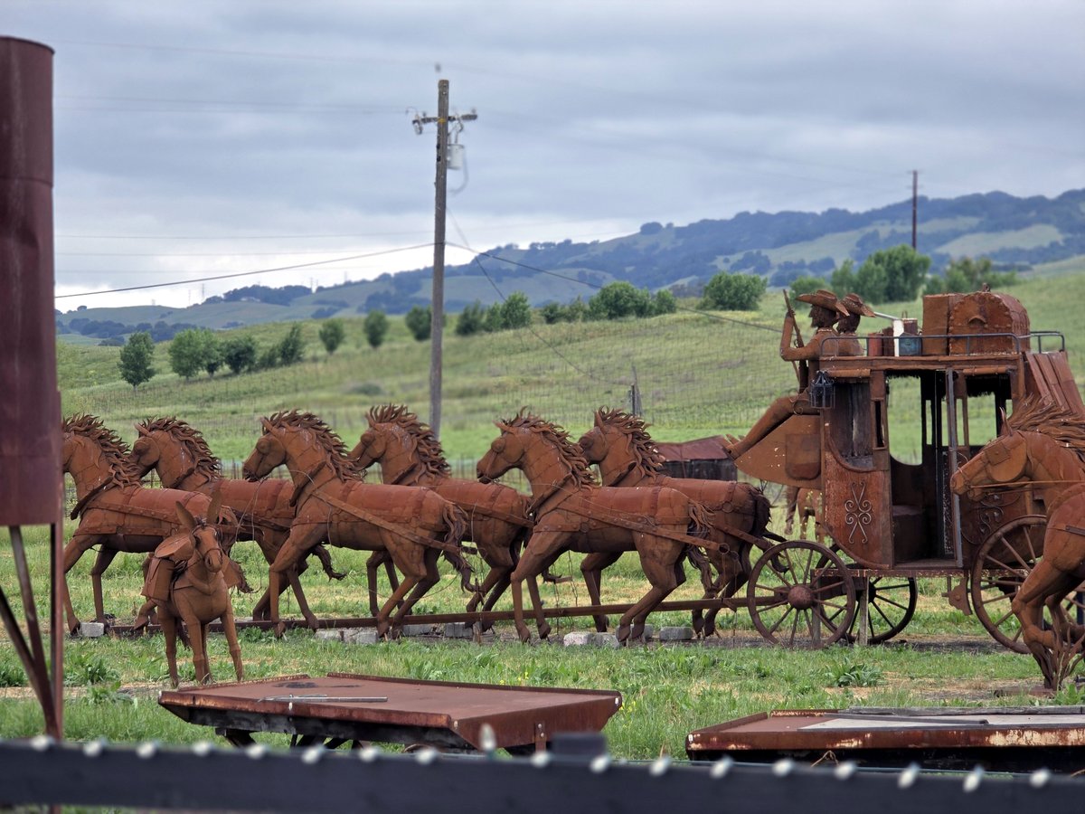 RacheleBakerDVM's tweet image. I did a double take when I drove by a huge field of metal horse sculptures when I was driving through Petaluma, California, the other day. I had to stop on my way home to take photos. I found out that these sculptures are part of Pronzini Farms.

#metalart #horsesculpture
