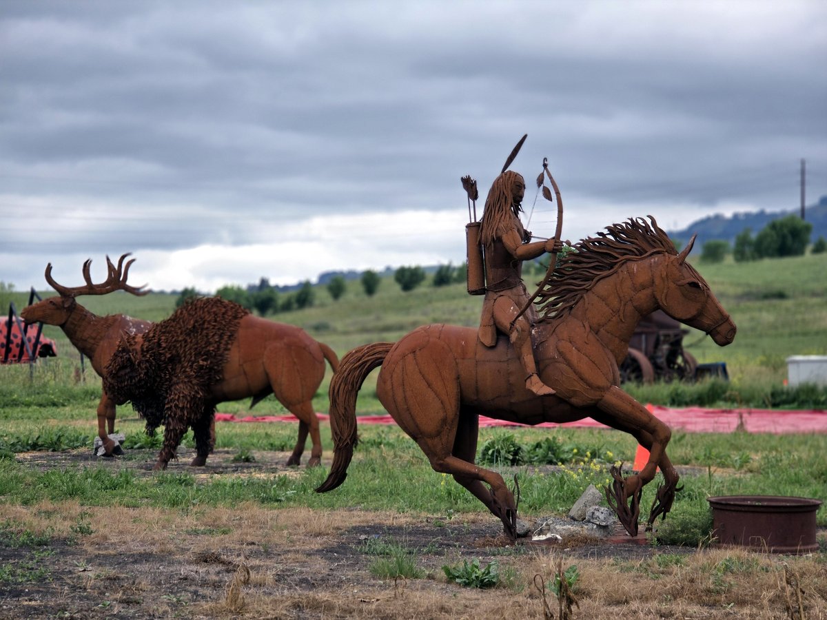 RacheleBakerDVM's tweet image. I did a double take when I drove by a huge field of metal horse sculptures when I was driving through Petaluma, California, the other day. I had to stop on my way home to take photos. I found out that these sculptures are part of Pronzini Farms.

#metalart #horsesculpture