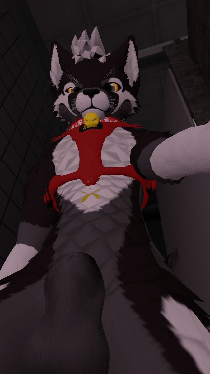 (T)hornyRoseWoof tweet media