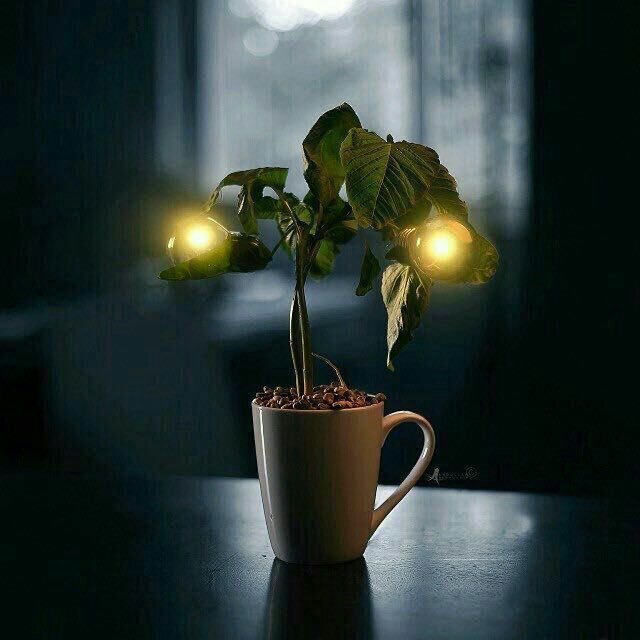 ✨ معااااذ ✨ tweet media