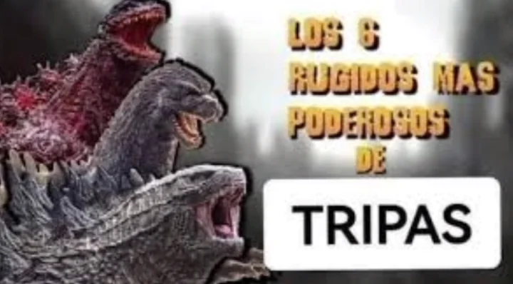 Dark_Knight 164 tweet media