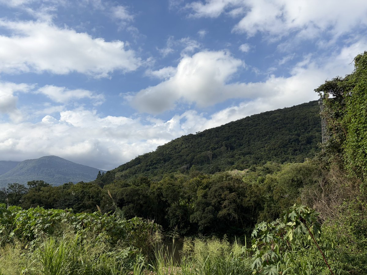 death experience tweet media