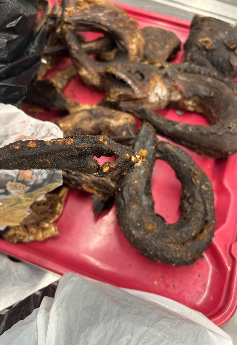 CBP Chicago tweet media