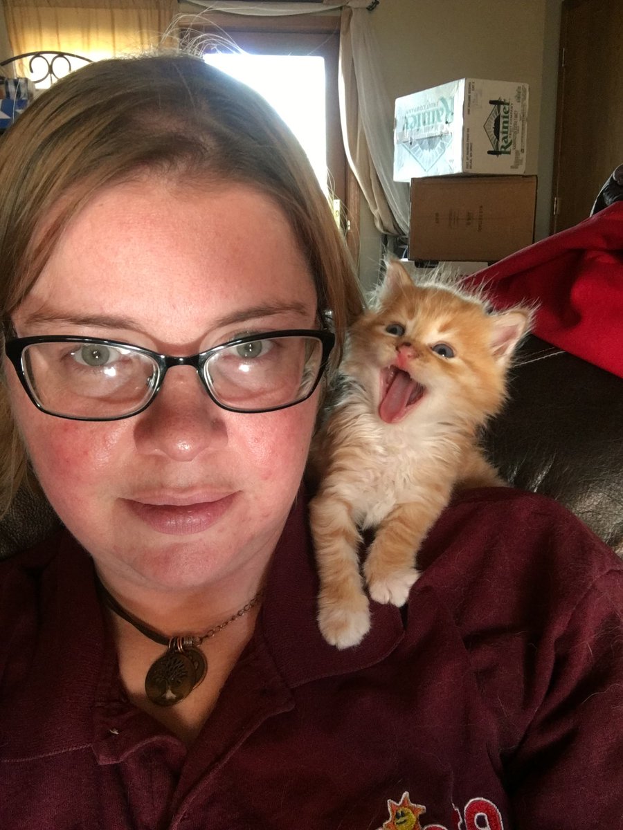 T. Olsen 🏳️‍🌈 tweet media