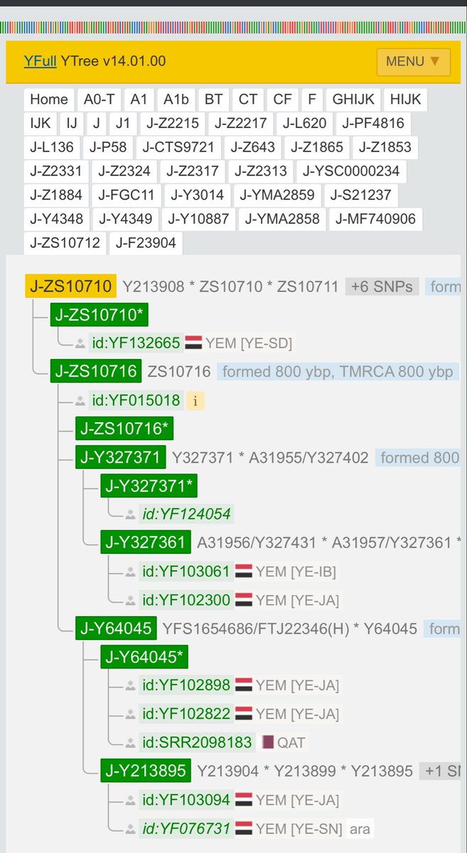 Abdullah Bin Meqbel tweet media