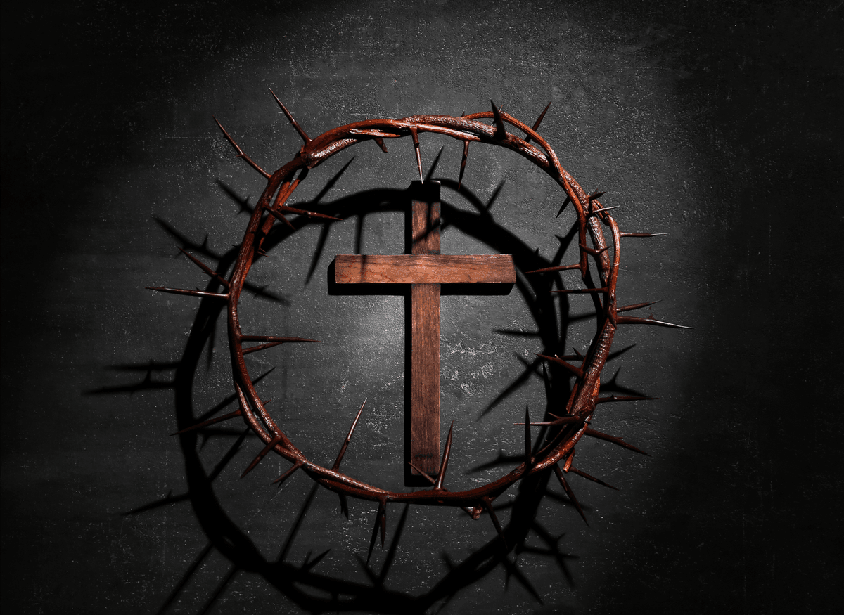 Anglican Compass tweet media