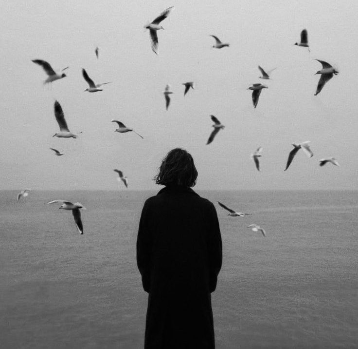 ابنة الريف 🇸🇦 tweet media