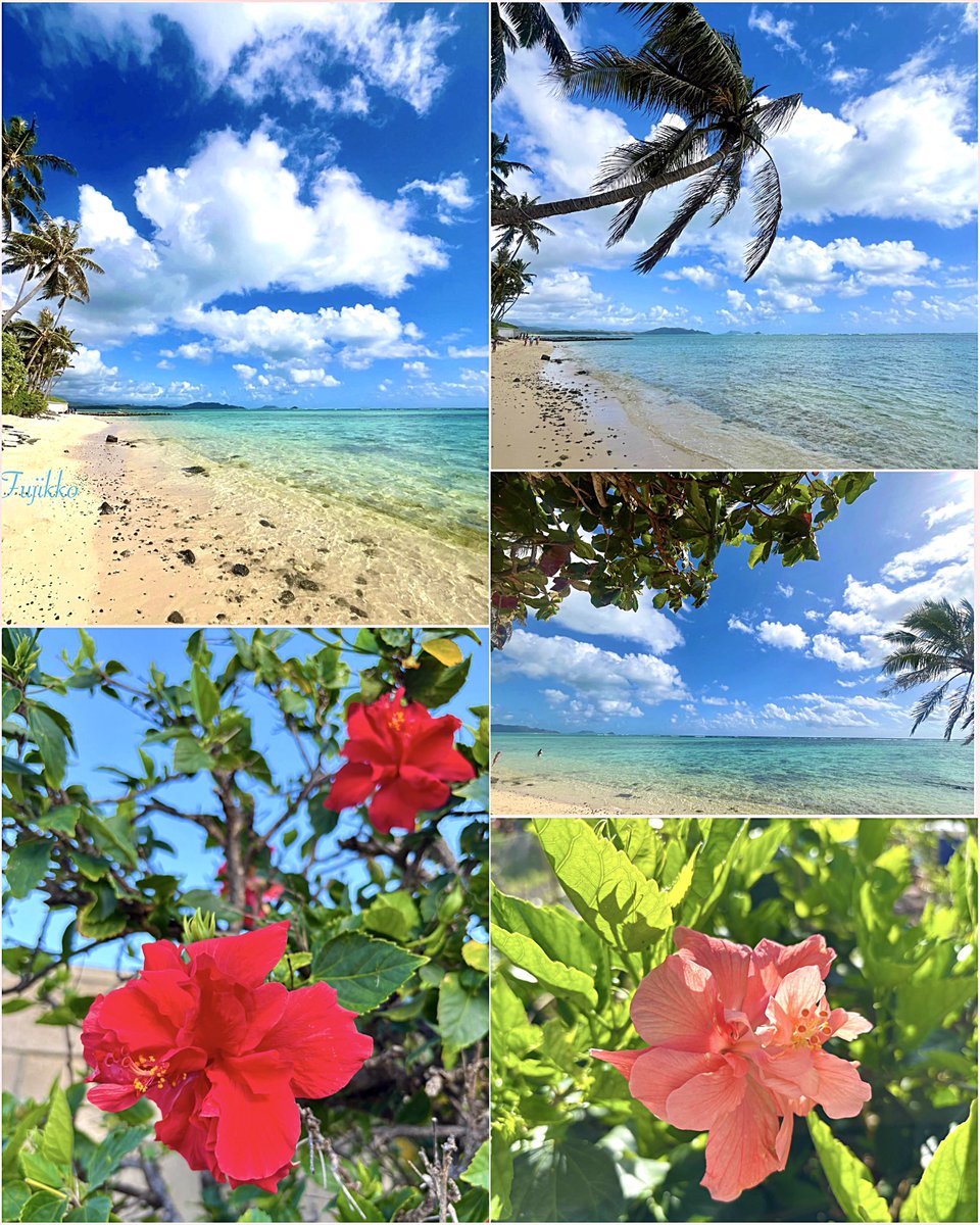 🏝️ Hawai’i                         

　　　          ⋆𓈒･:*࿐𓏲 🌺🍃

  ✾࿐𝐻𝒶𝓋𝑒 𝒶 𝓌𝑜𝓃𝒹𝑒𝓇𝒻𝓊𝓁 𝒹𝒶𝓎