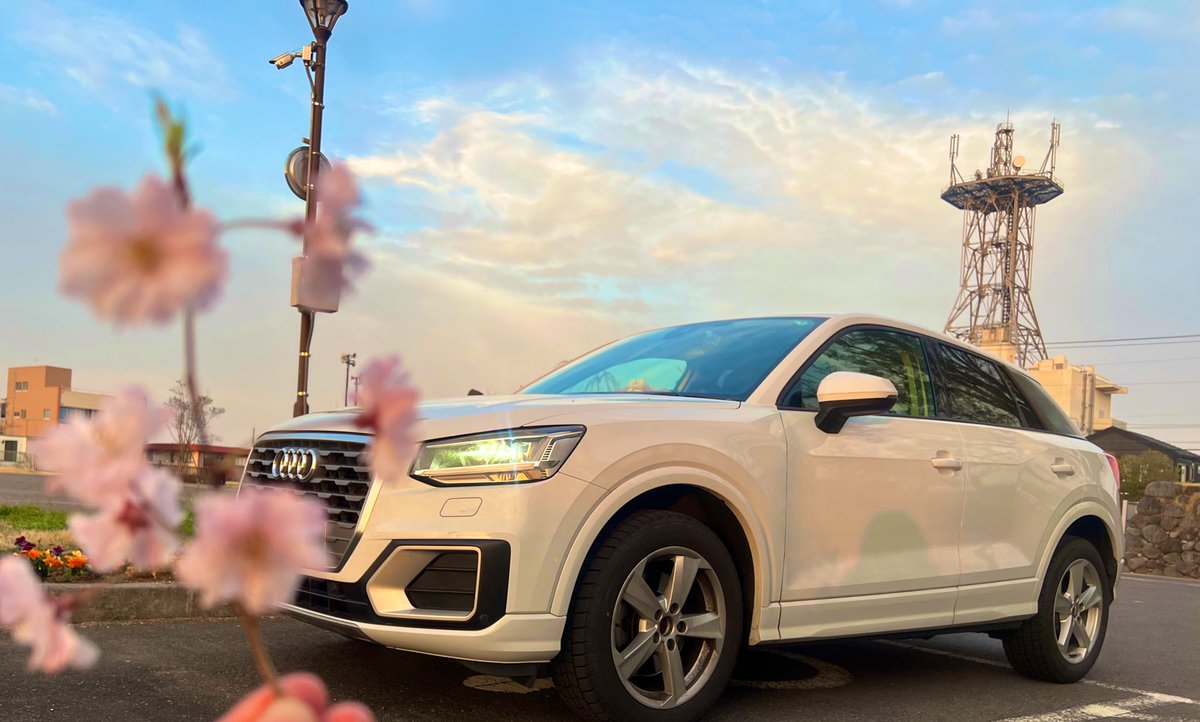 すしちゃん🍣 tweet media