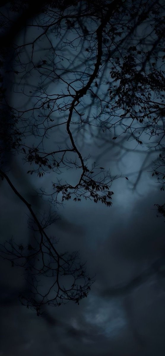 𝐾𝑒𝑙𝑙𝑖𝑒 ♰ ⋆。˚☽˚。⋆ 𓆉⋆。˚⋆❀ 𓇼 tweet media