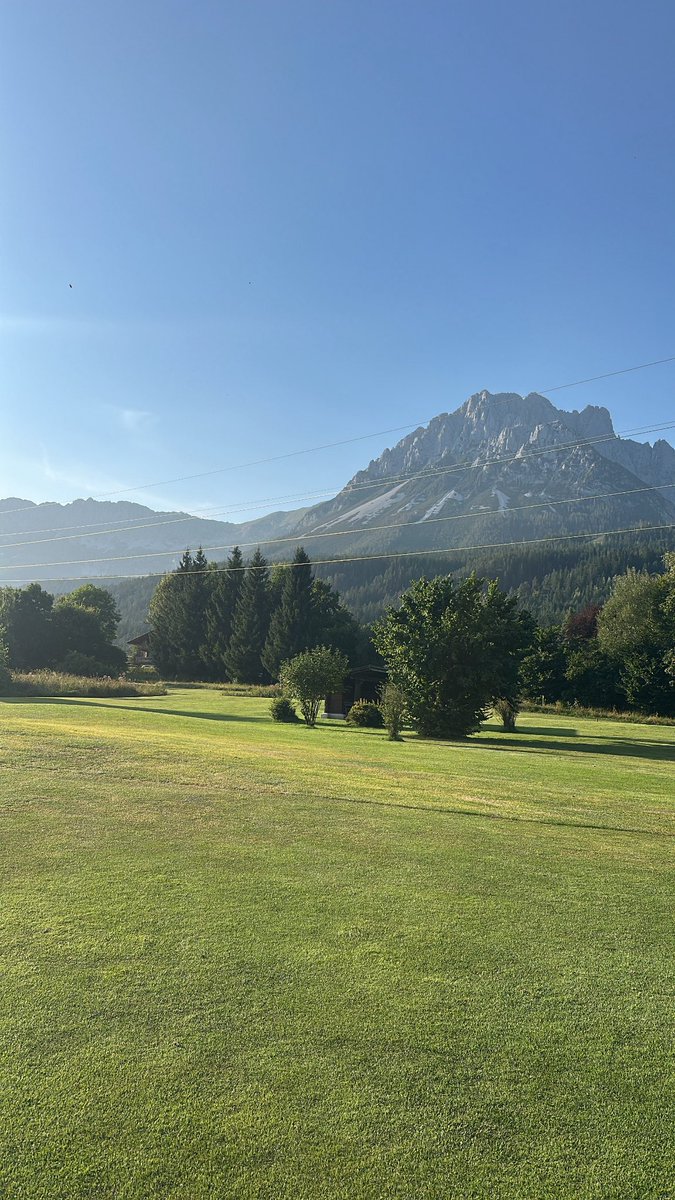 aintfaint tweet media